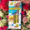 MINIONS(3pcs)/Goodly